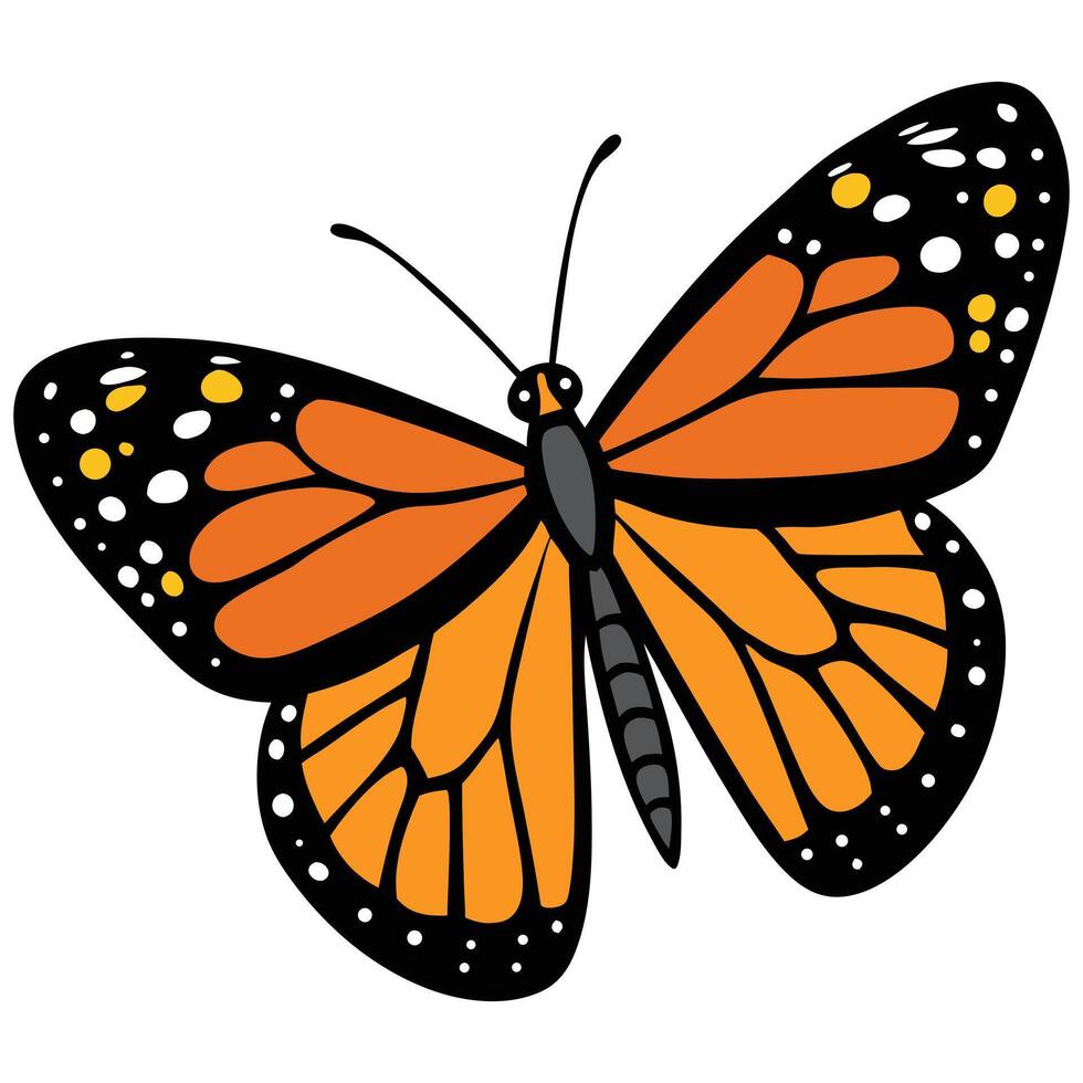 Monarch Butterfly with Orange Wings on White Background vector