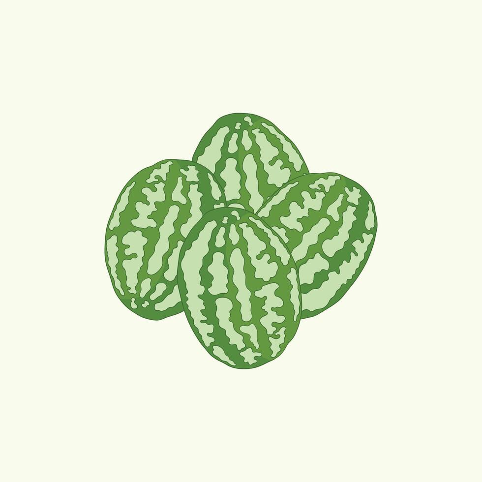 Cucamelon squash vegetables flat design cartoon illustration vector