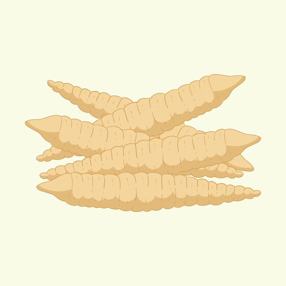 Arrowroot vegetables flat design cartoon illustration vector