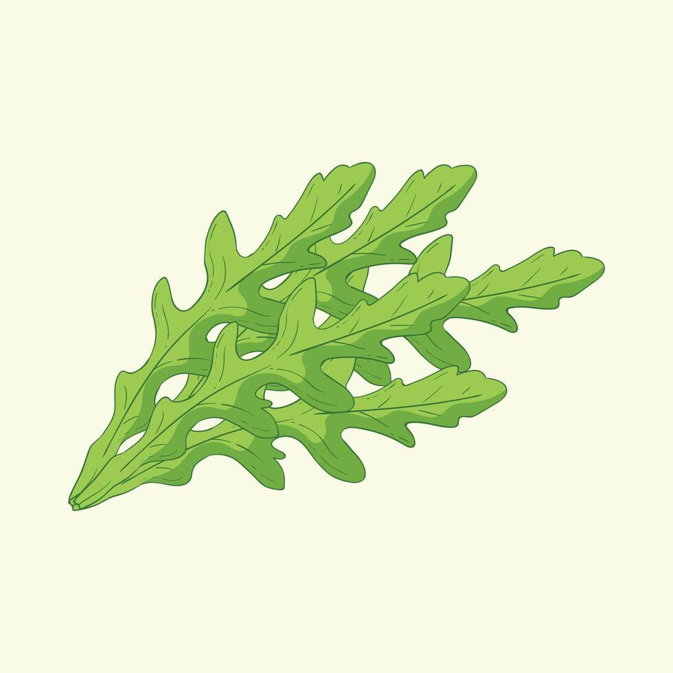 Argula leaves vegetables flat design cartoon illustration vector