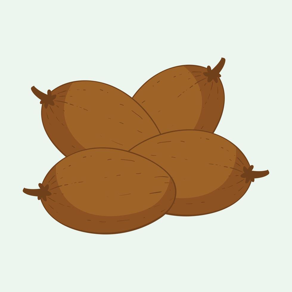 Sapodilla fruit flat design cartoon icon illustration vector