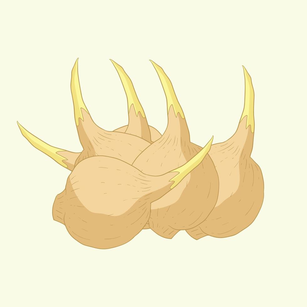 Arrowhead vegetables flat design cartoon illustration vector