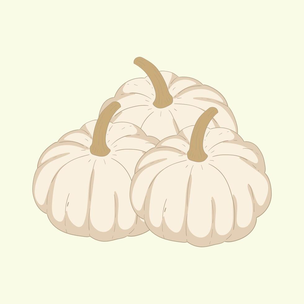 White pumpkins vegetables flat design cartoon illustration vector