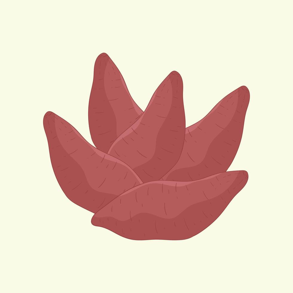 Batata vegetables flat design cartoon illustration vector