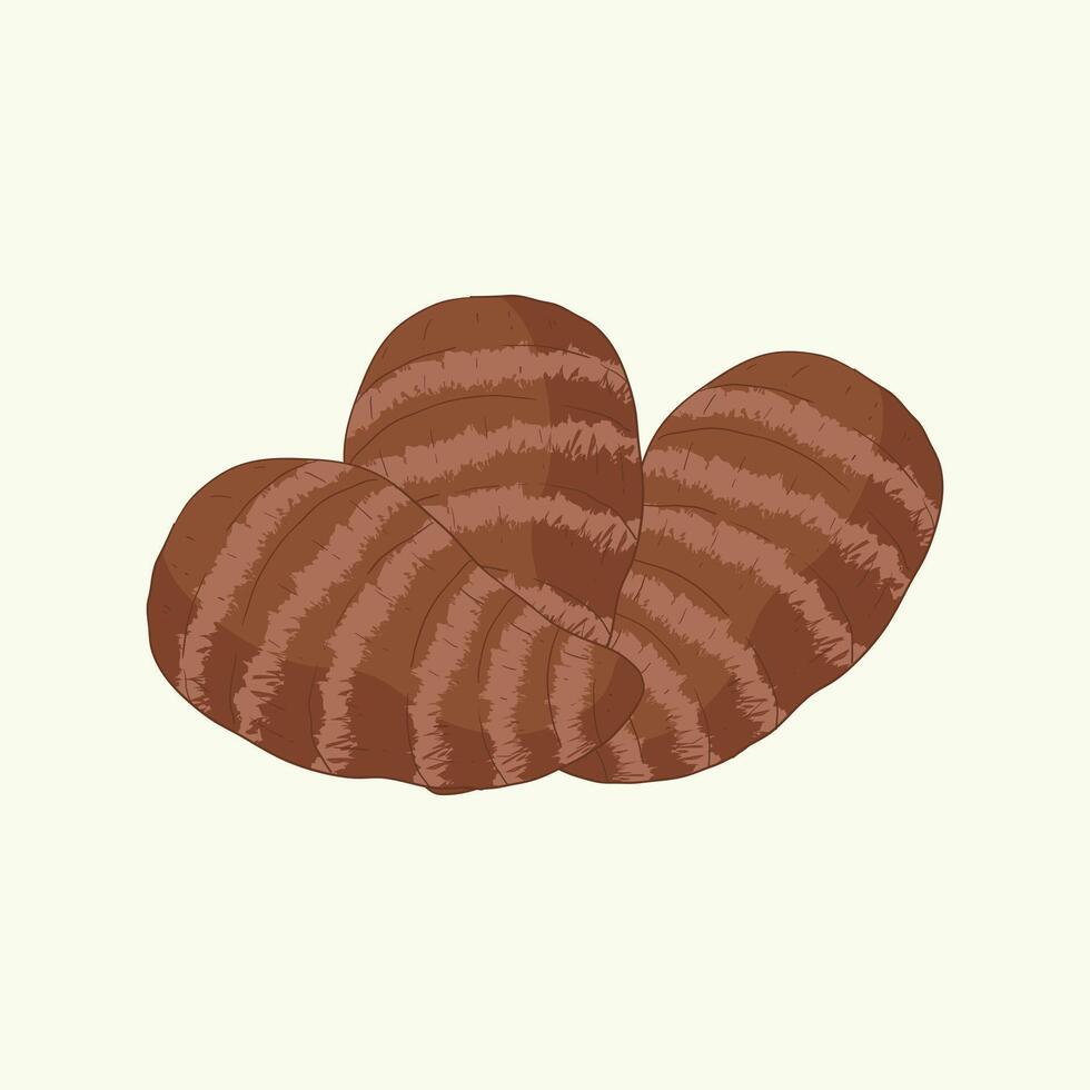 Taro corm vegetables flat design cartoon illustration vector