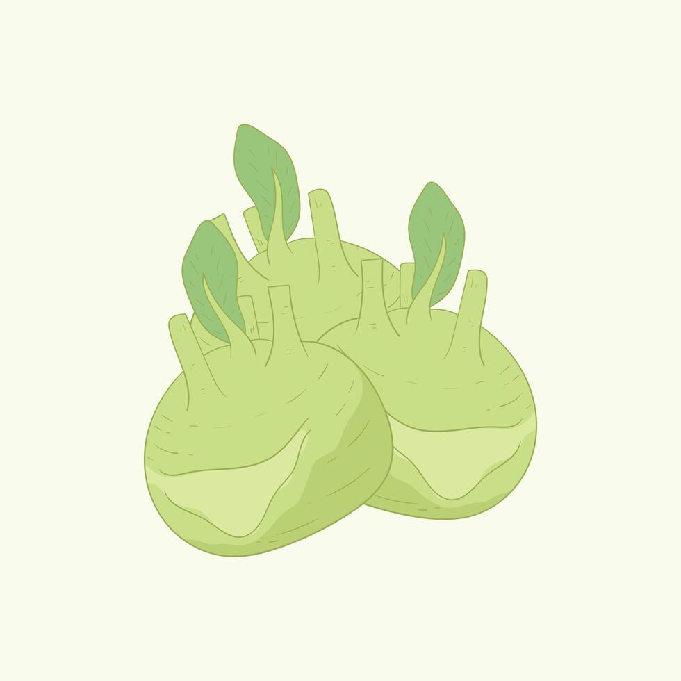 Delicacy white kohlrabi vegetables flat design cartoon illustration vector