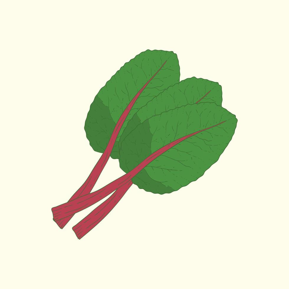 Swiss chard vegetables flat design cartoon illustration vector