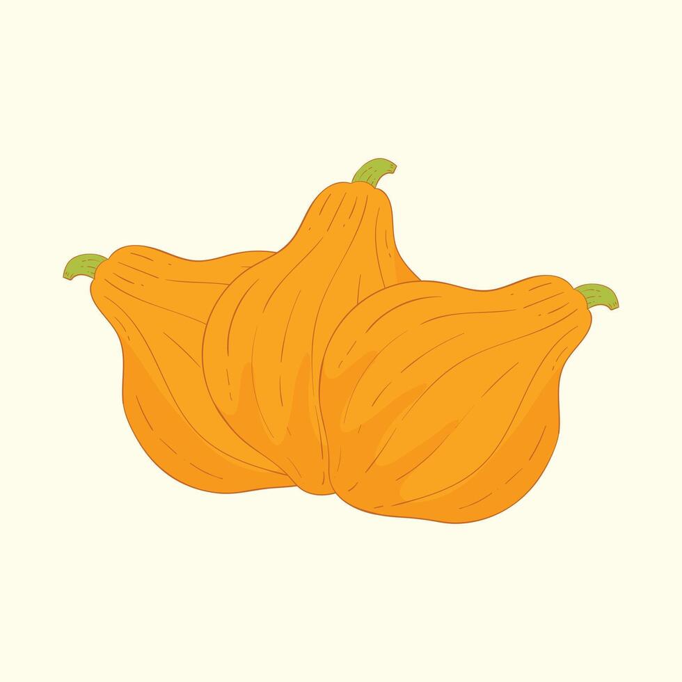Boston marrow vegetables flat design cartoon illustration vector