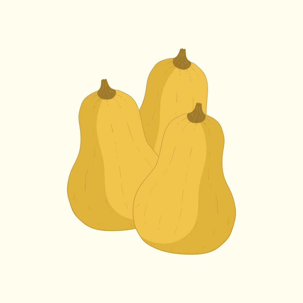 Butternut squash fruit flat design cartoon icon illustration vector