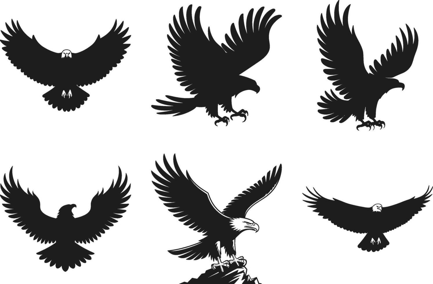 Set of Bold Eagle Silhouettes - Collection of Flying and Perched Raptors vector