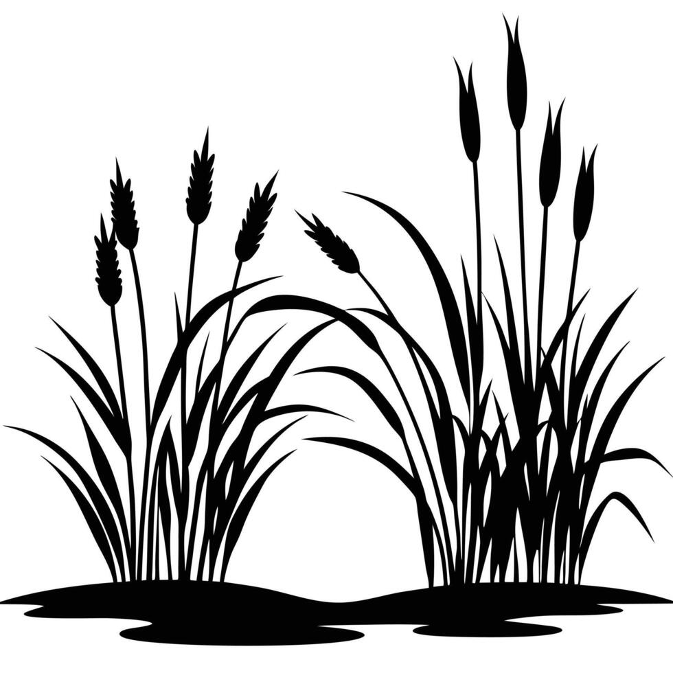 Silhouette of reed and cattail plants near water illustration vector