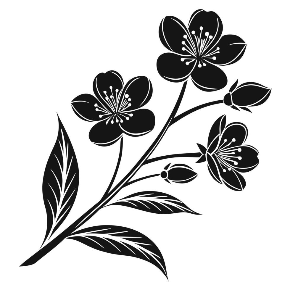 Elegant black and white cherry blossom branch illustration isolated on white vector