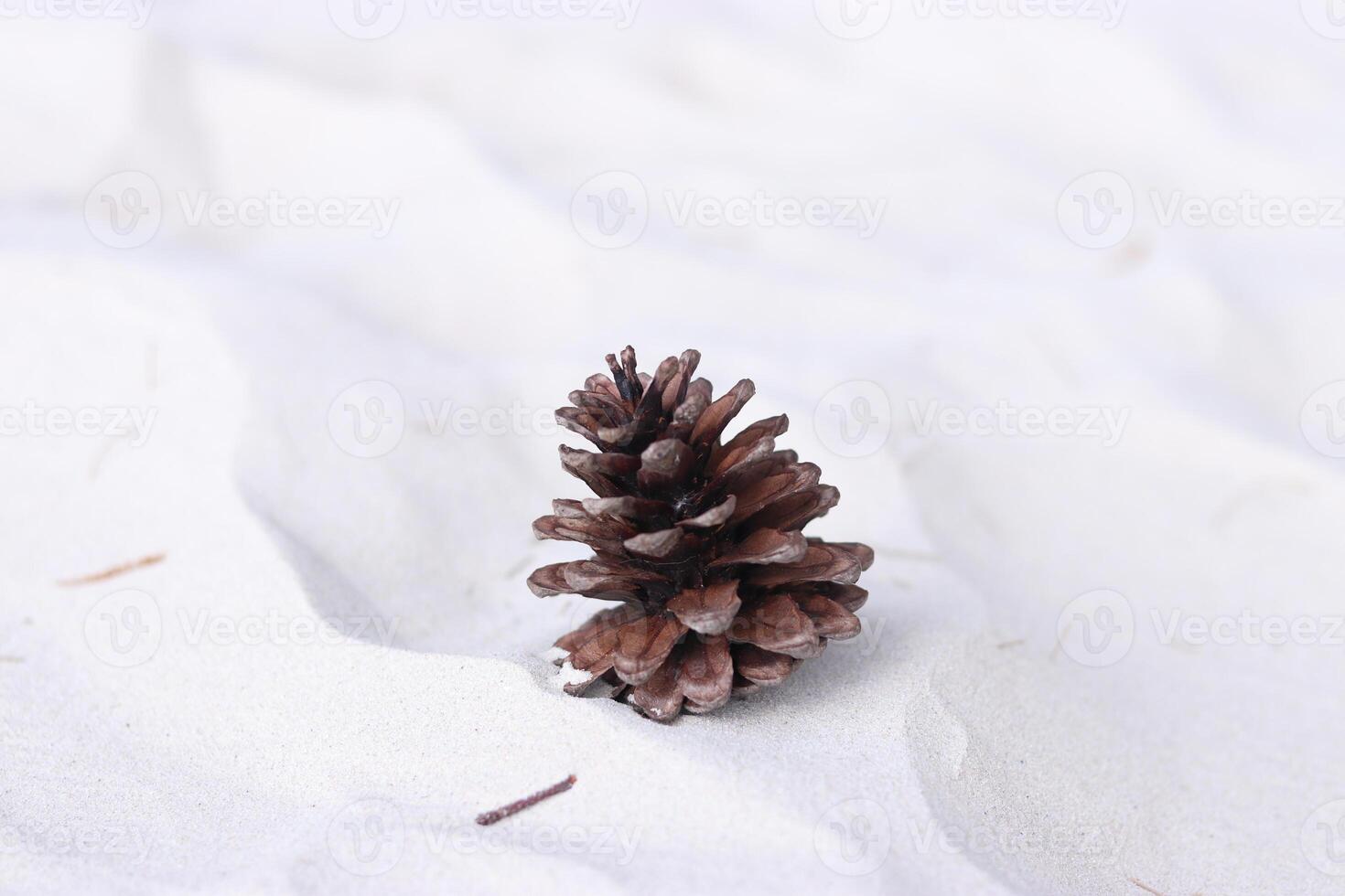 Pine cone sits calmly on white surface, exuding warmth of nature photo