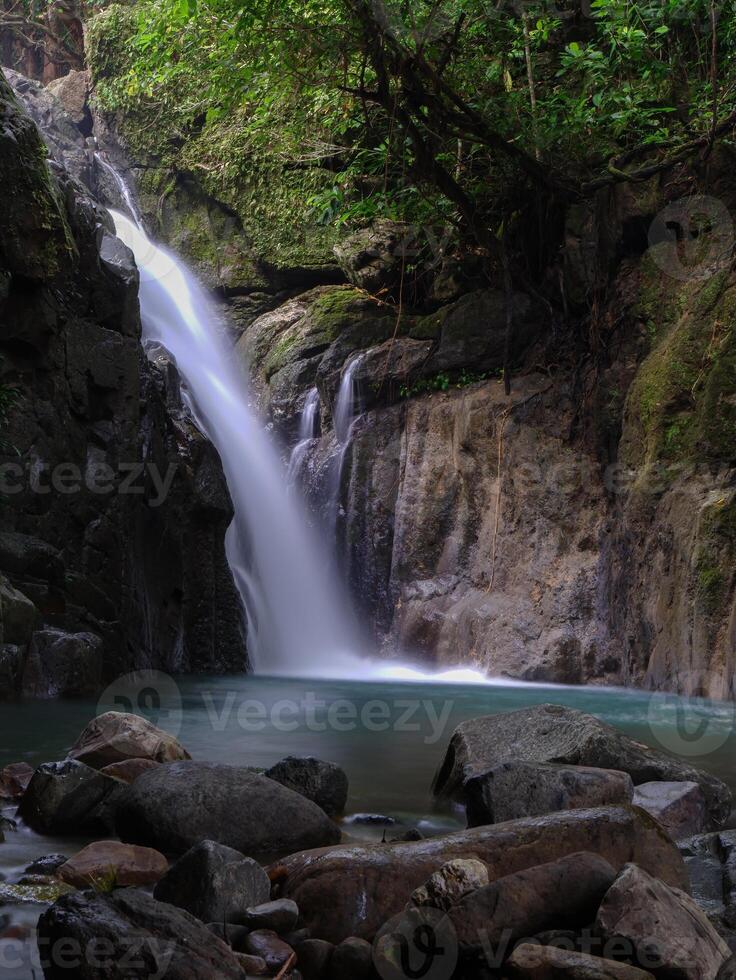 A waterfall in the woods photo