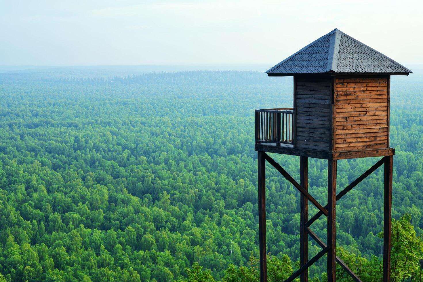 Wooden lookout tower above a vast green forest landscape. photo