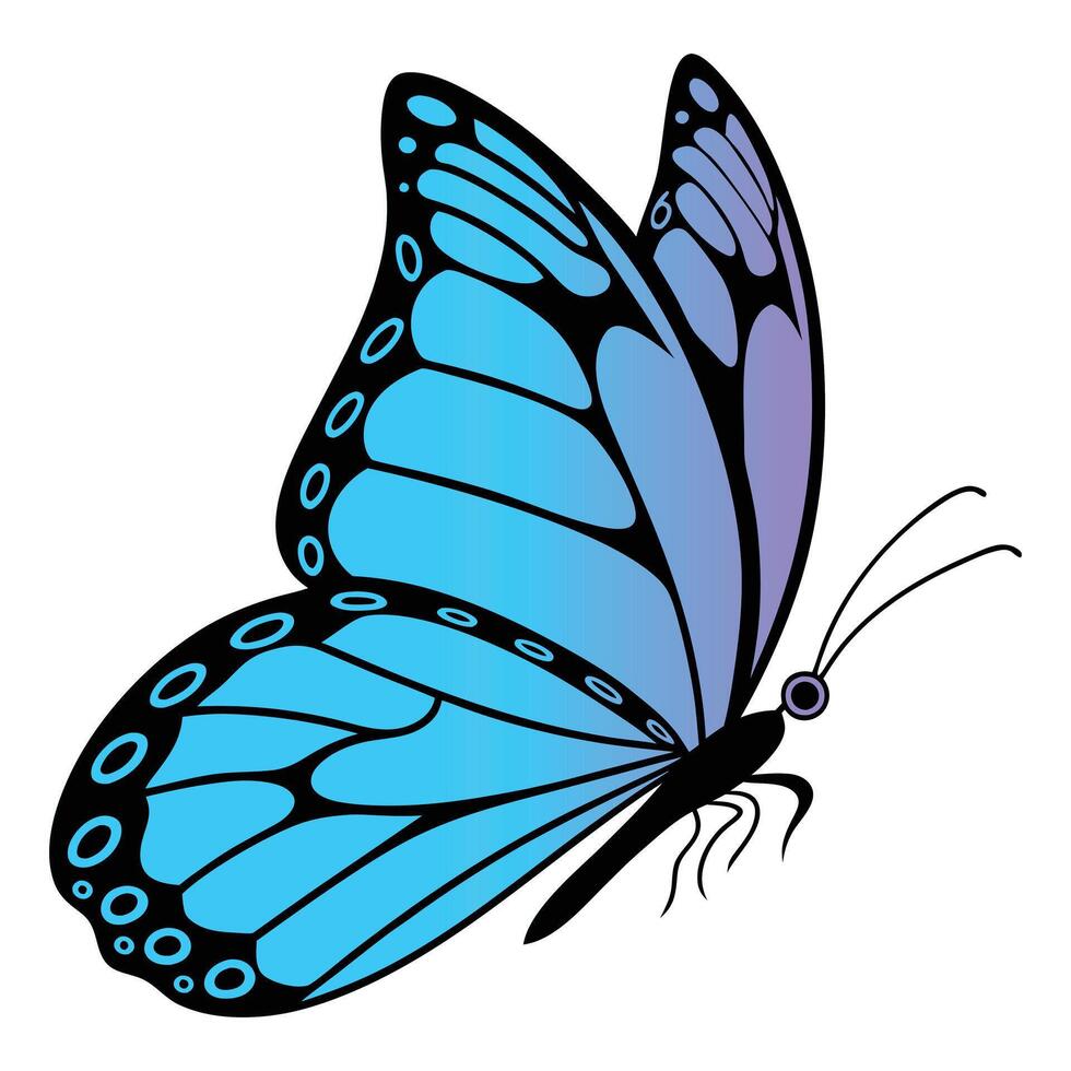 Cute Butterfly Clipart for Creative Projects vector