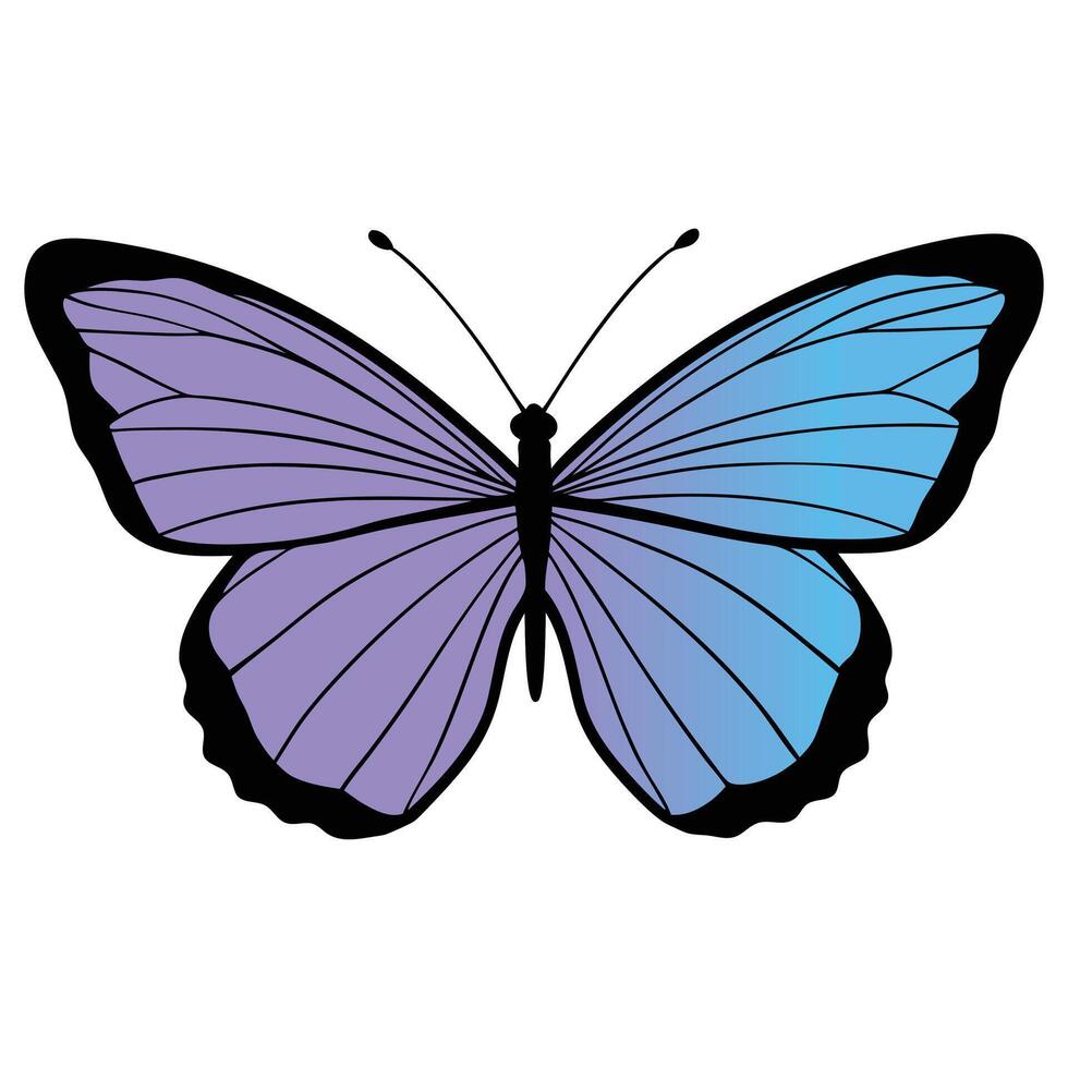 Beautiful Butterfly Illustration with Elegant Designs vector
