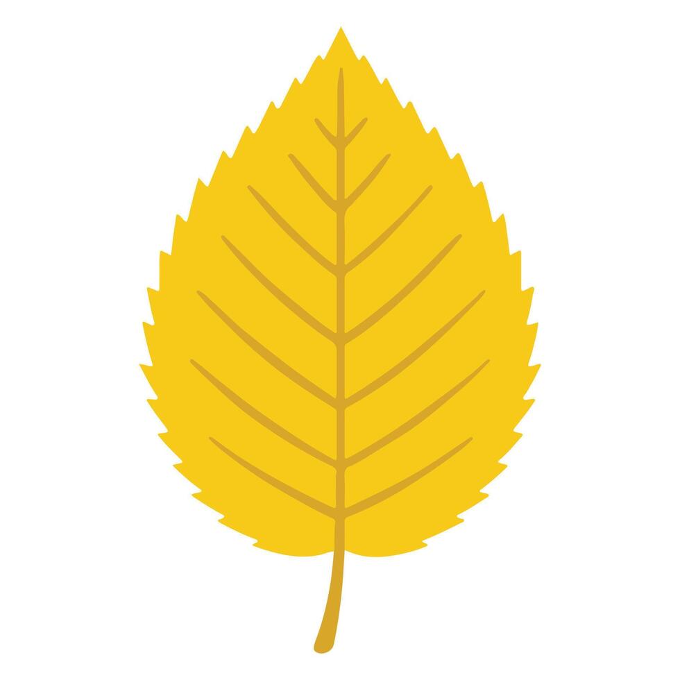 Isolated Autumn Leaves with Detailed Fall Illustration vector