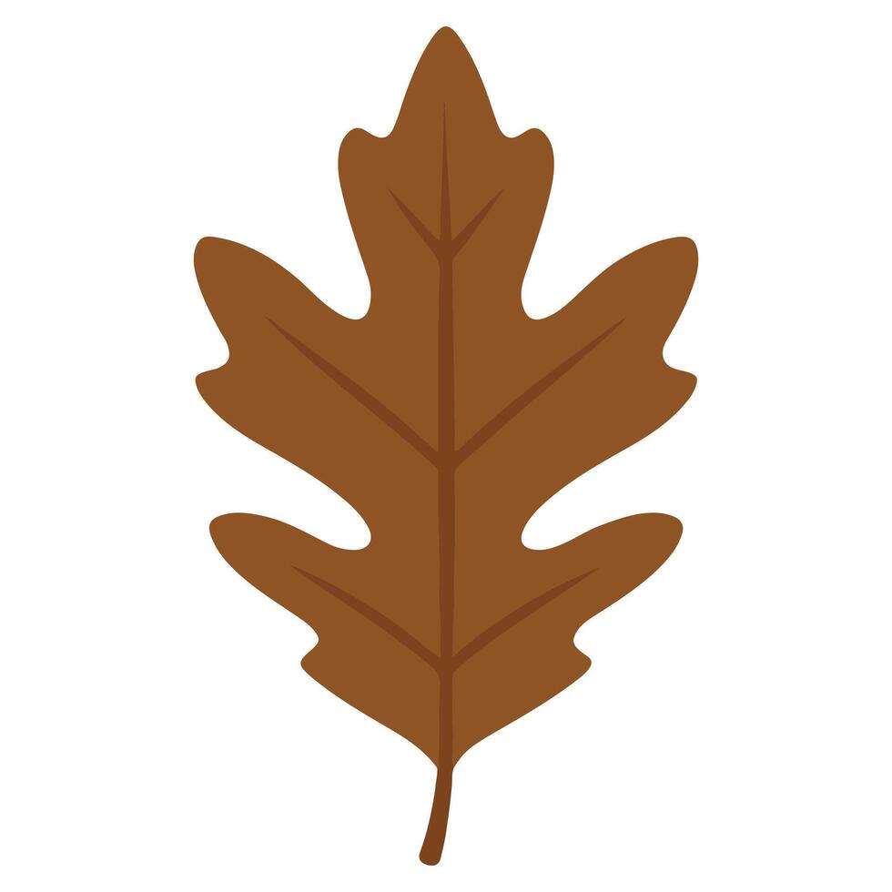 Elegant Fall Leaf Drawing with Autumn Leaf Elements vector