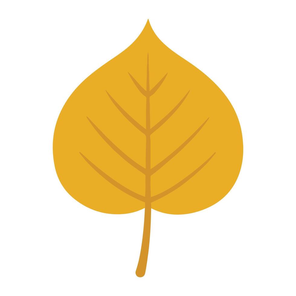 Botanical Fall Leaves Illustrated in Autumn Style vector