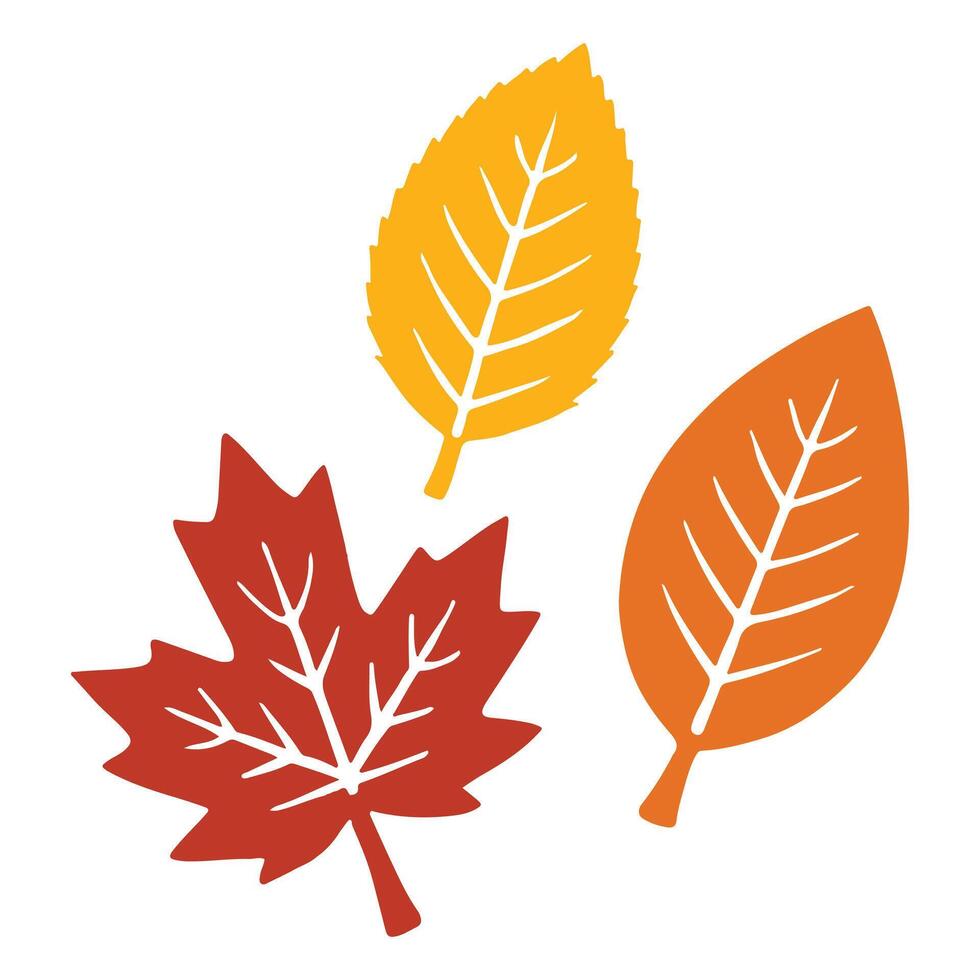 Vibrant Autumn Leaves in a Fall Season Drawing collection vector