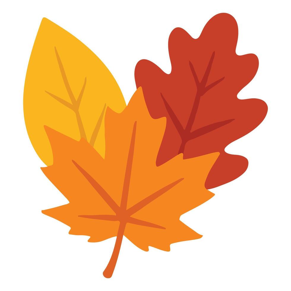 Hand Drawn Fall Leaves with Isolated Elements vector