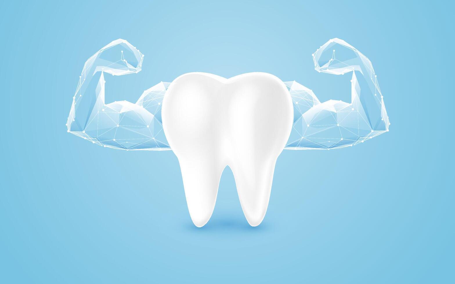 Strong Healthy Tooth with Abstract Polygonal Muscles vector