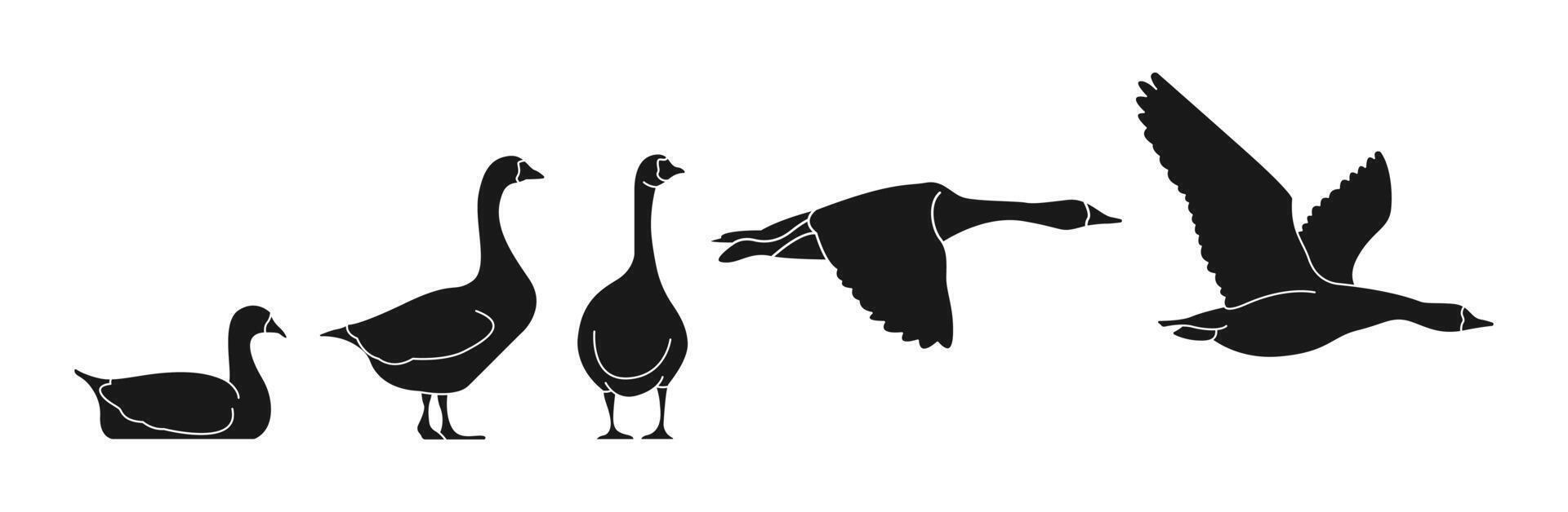 Black silhouette of goose and duck birds vector