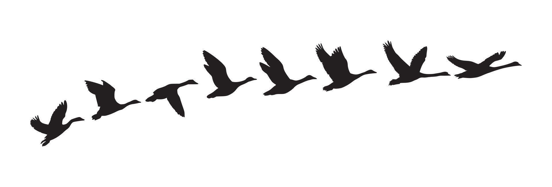 silhouette of a goose in flying process vector