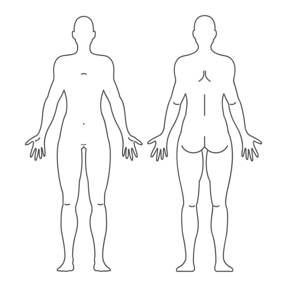 Set of line style body figure silhouettes vector