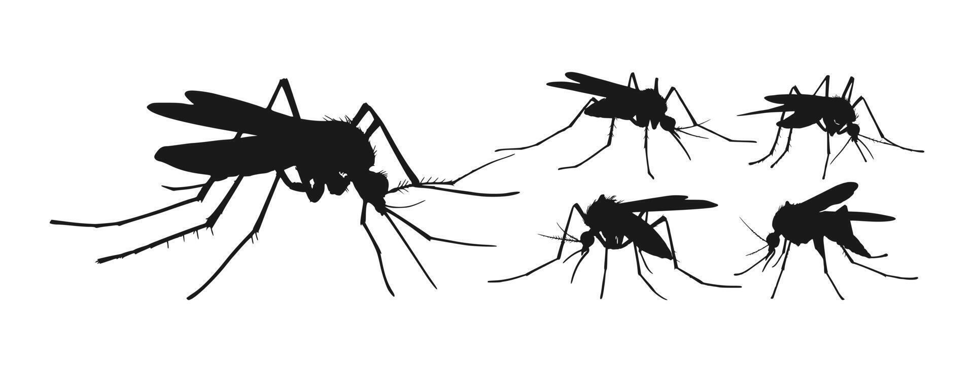 mosquito silhouette flying insect pest danger health vector