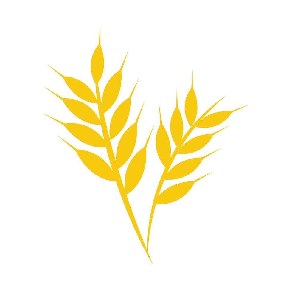 Flat design of wheat gandum logo symbol vector
