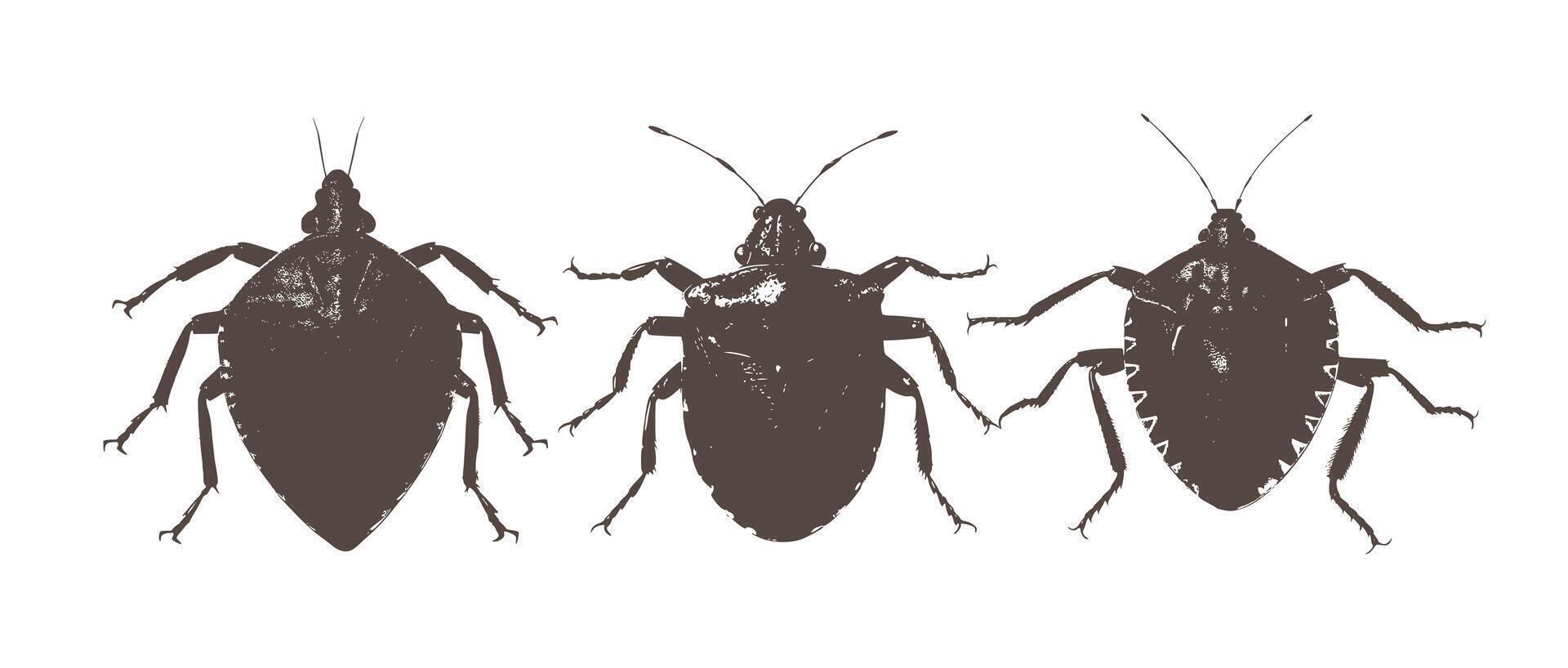 flea insect parasite tiny bug black simple design vector