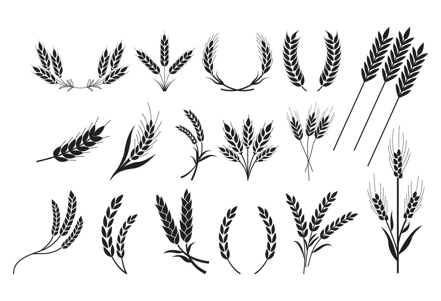 set of various wheat silhouette designs vector