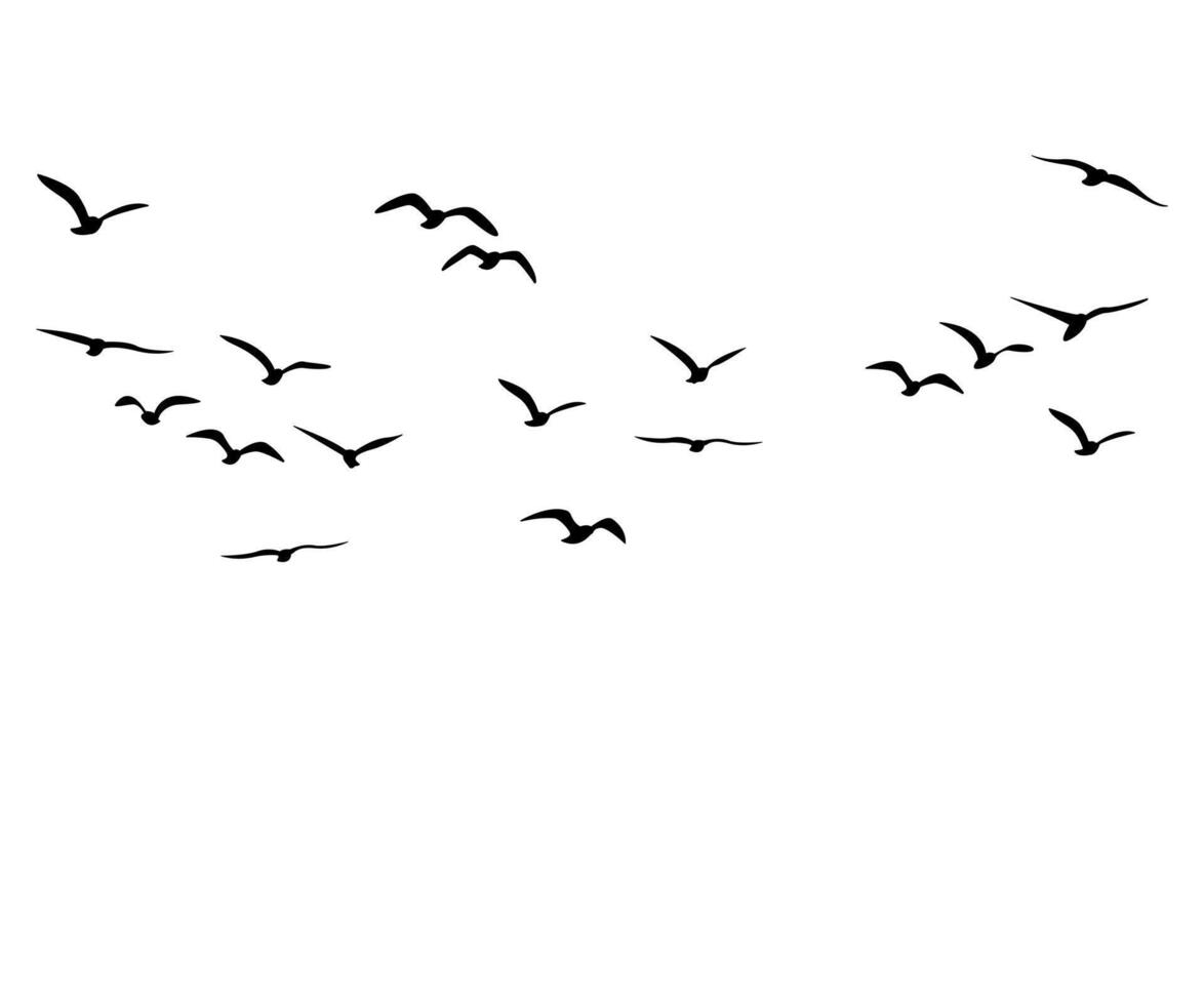 silhouette icon of a bird flying in the sky vector