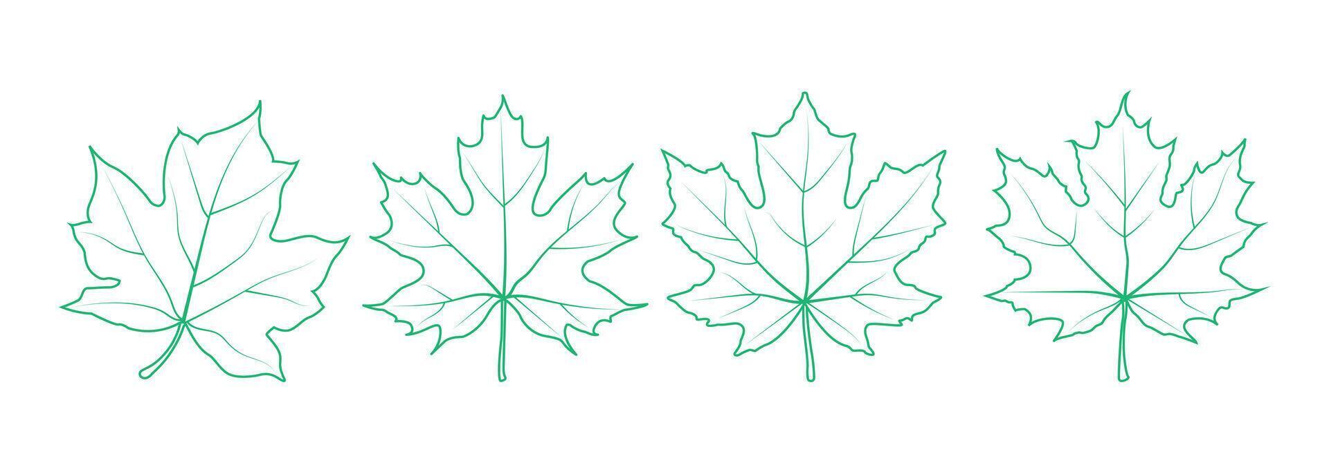 leaf summer green outline nature plant simple design vector
