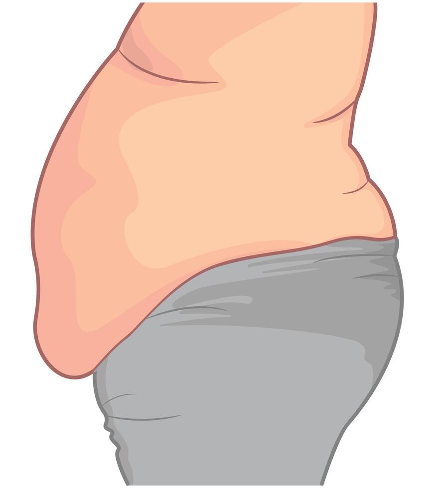 Flat illustration of a fat stomach for health concept vector