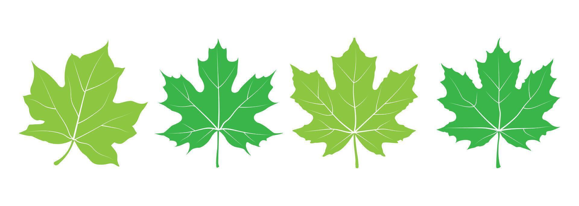 leaf summer green nature plant eco friendly design vector