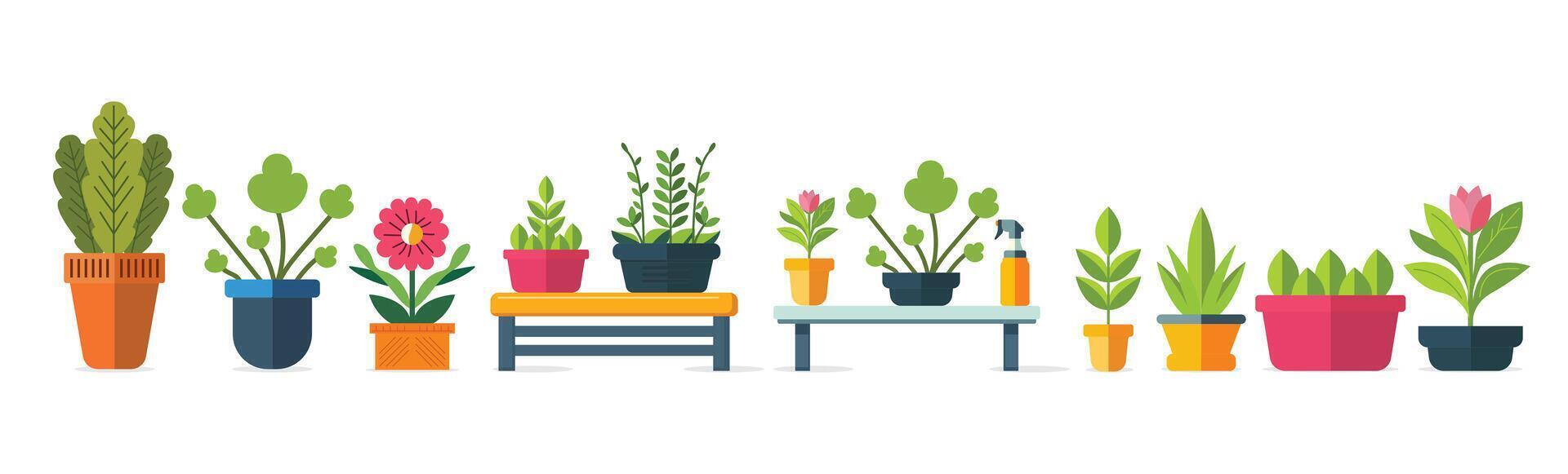 Flat design of a plant in a pot vector