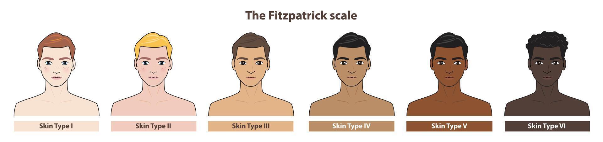 The Fitzpatrick skin tone phototype with men cartoon character illustration on white background. Diagram of ethnicity skin tone scale phototype melanin and hair color melanin. The Fitzpatrick scale. vector