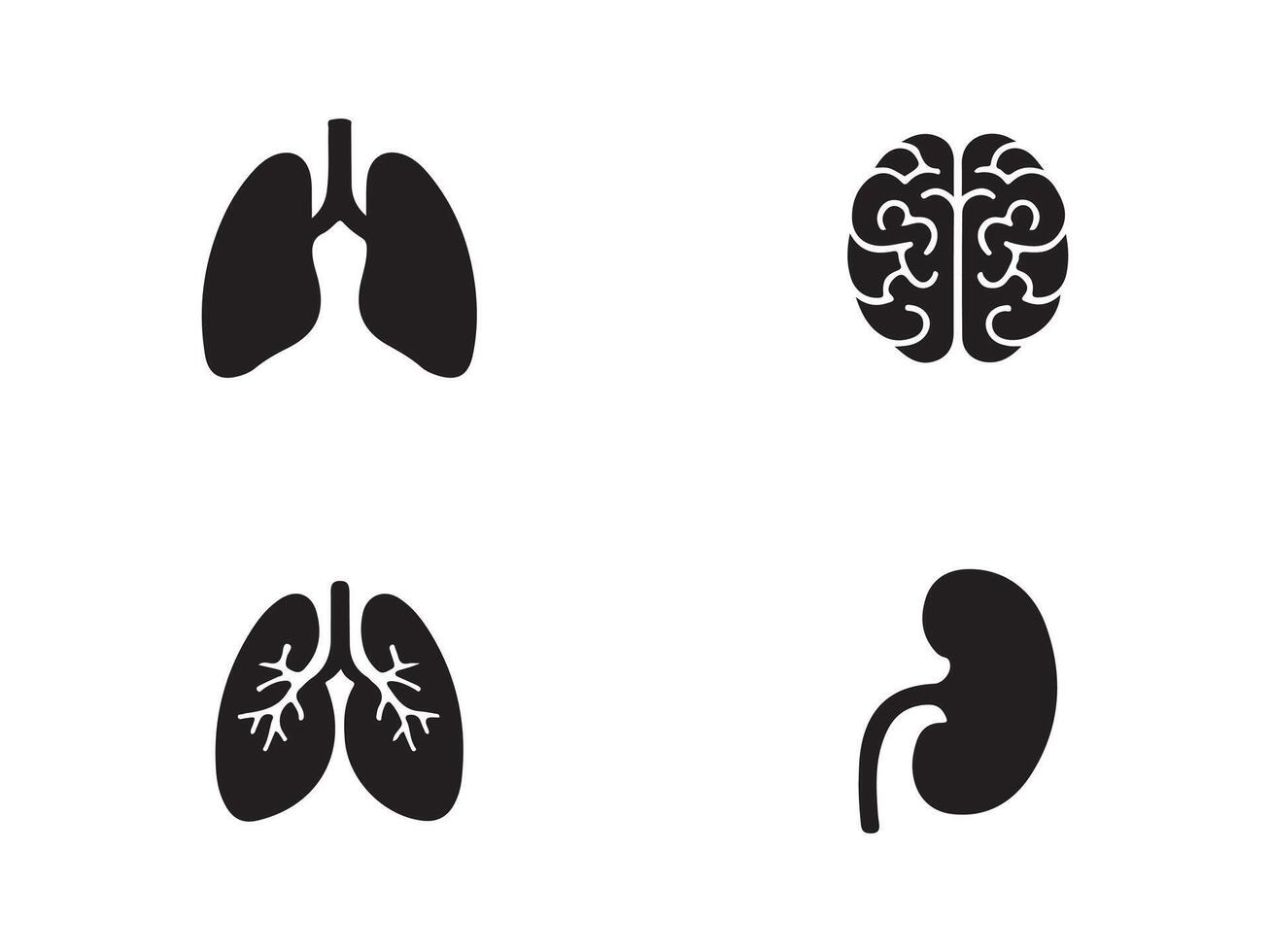 Illustration of Human Internal Organs vector