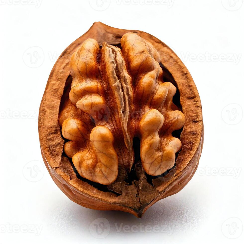 A walnut is shown on a white background photo