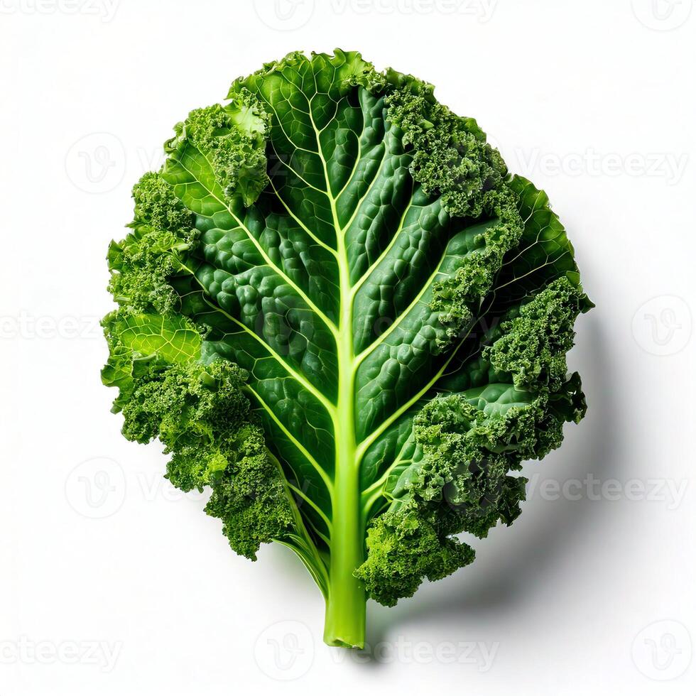 A large green leaf is shown on a white surface photo
