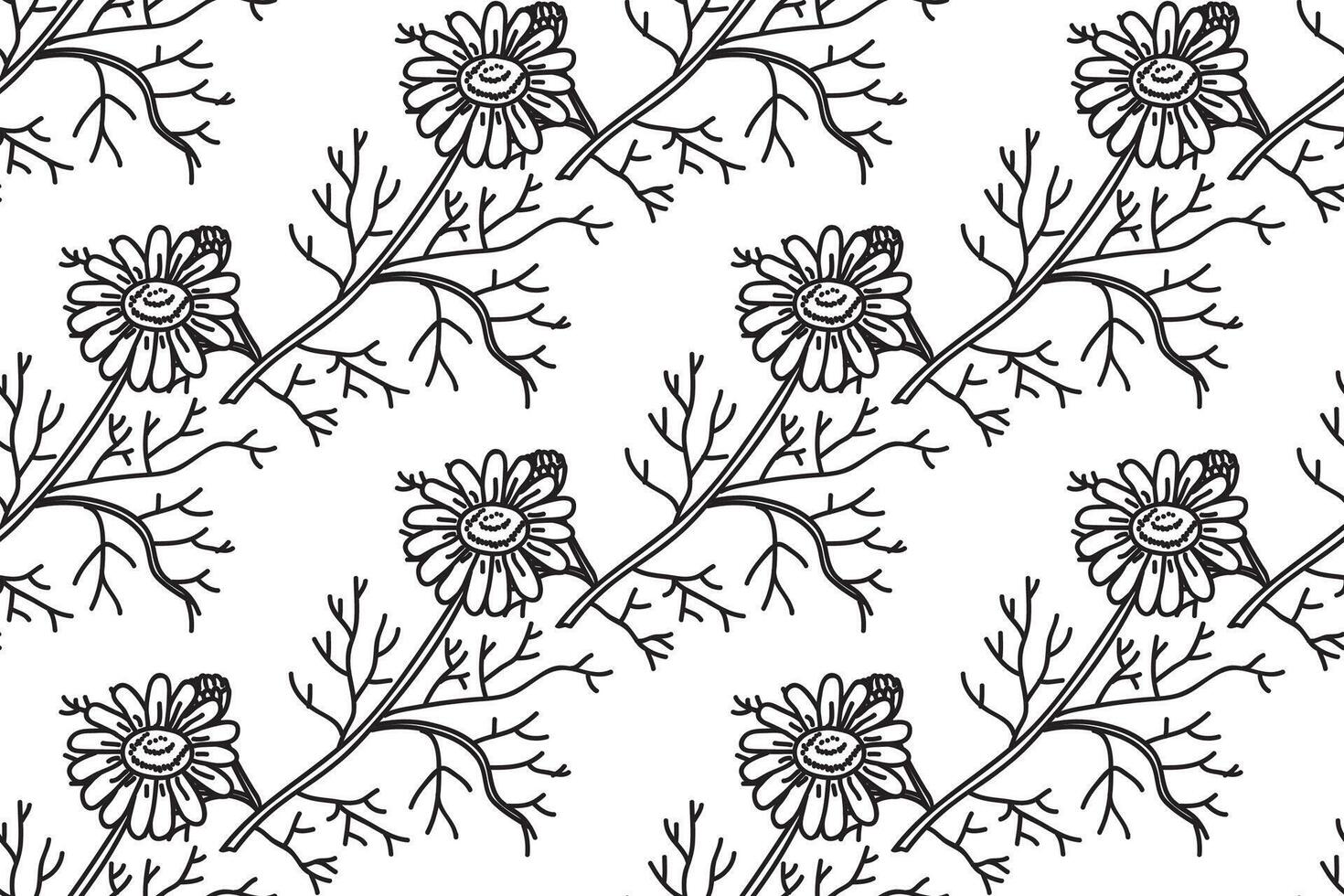 Line art botanical seamless floral pattern with flowers chamomile illustration. Black outline repeating daisy plants in white background. Graphic design for Fashion Cover Card Textile Wedding Print vector