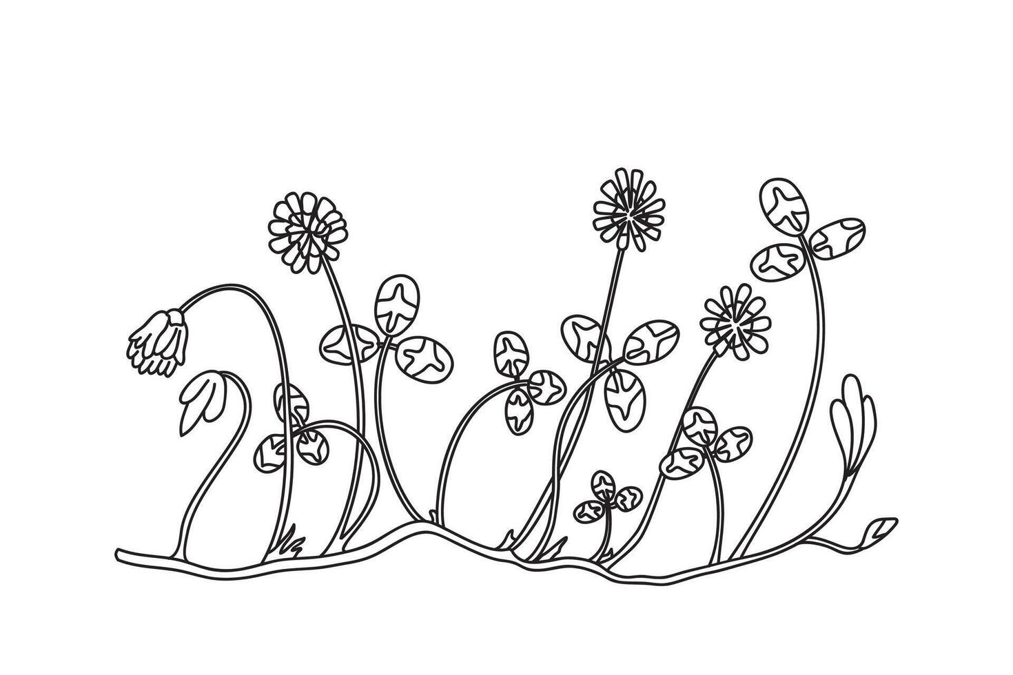 Line art botanical floral border isolated on white background. Hand drawn outline doodle clover plant with Flowers Stems Leaves illustration. Graphic design doodle element for Birthday Wedding vector
