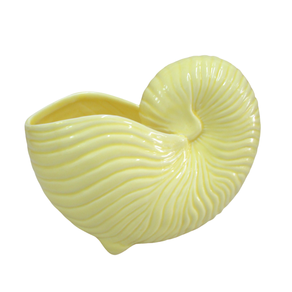 Yellow Ceramic Shell png