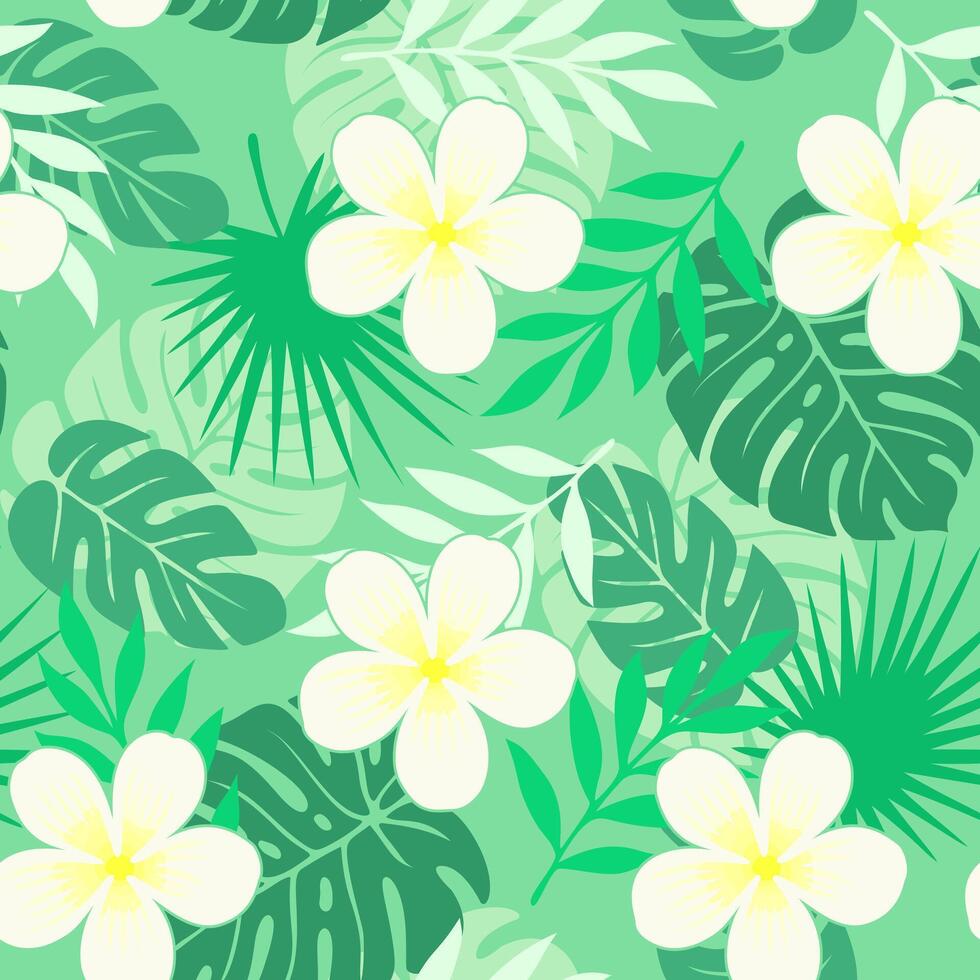Tropical seamless pattern with white plumeria summer seamless pattern for background and fabric vector