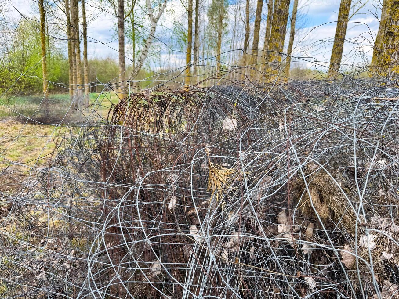 Rusted and tangled rolls of metal mesh fencing with dead leaves and grass caught in the wires, lying abandoned in a birch forest clearing during spring photo