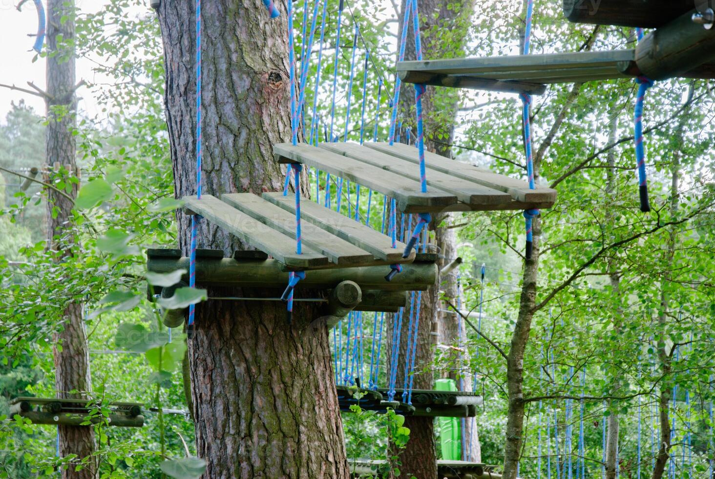 Forest adventure park with tree climbing platforms and ropes for outdoor activities and fun. Weekend concept near the forest and lake photo