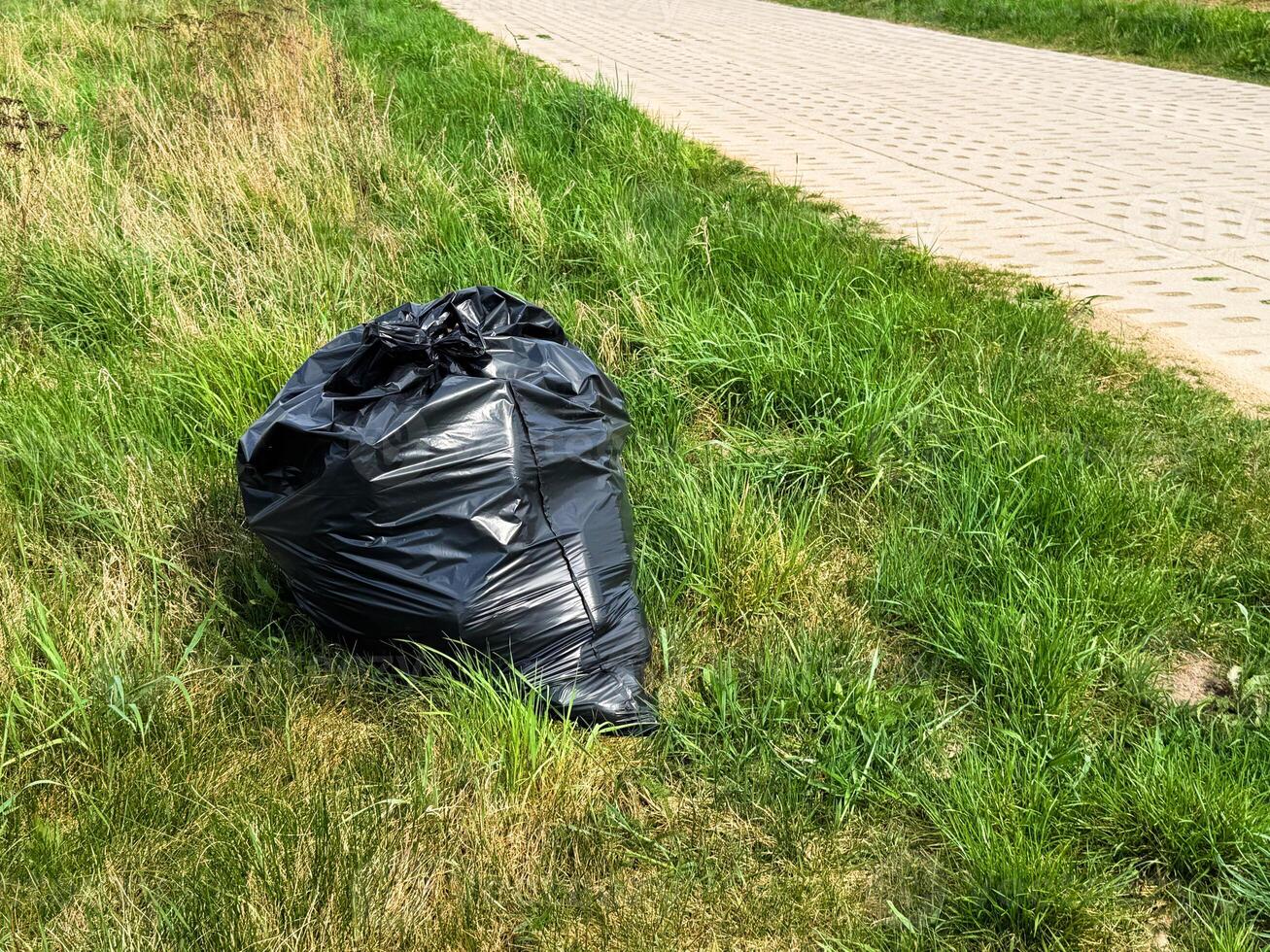 Large black garbage bag placed on green grass near a paved sidewalk, representing outdoor litter or cleanup effort in a park or urban green space during spring photo
